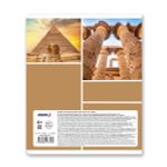 Тетрадь ученическая общая A5+ 48 л. на скобе, белизна 100%, 10 шт, клетка, 000333 Мир вокруг нас, Светоч 48ТСК5_1_3_1