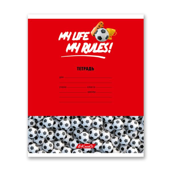 Тетрадь ученическая школьная A5+ 24 л. на скобе, белизна 100% 30 шт, клетка, 000372 Мячики, Светоч 24ТСКд5_1_3_1