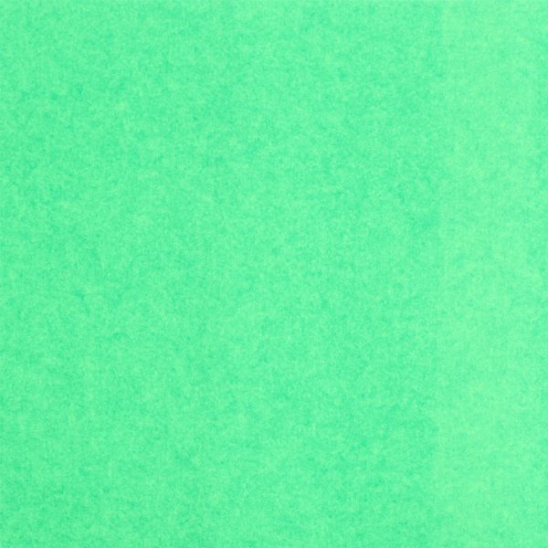 Фетр листовой жесткий 4.0 мм, 47х53 см, C413 салатовый (меланж), Gamma FKAM40-47/53