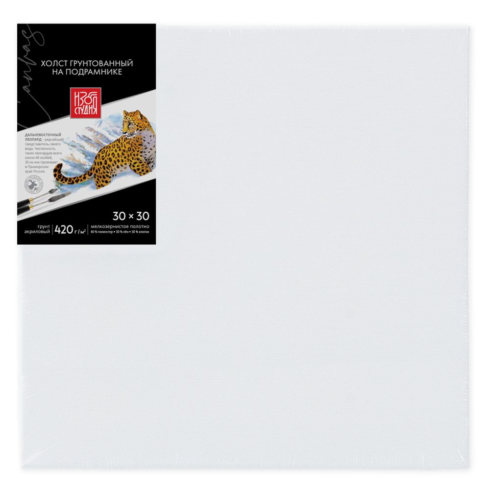 Холст грунтованный на подрамнике 30х30 см, 420 г/м², 40% полиэстер, 30% лён, 30% хлопок, 2 шт, мелкозернистый, Аква-колор, IZO-MCFG-3030