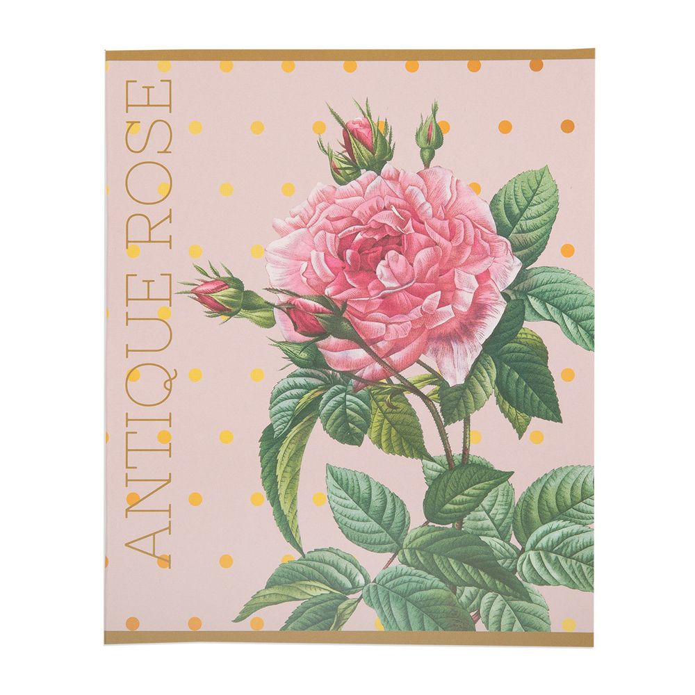 Тетрадь Цветы A5 48 л. на скобе 60 г/м², 10 шт, клетка, SVT 481421 03 розовый, Светоч