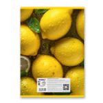 Тетрадь ученическая общая, выборочный лак, A4 96 л. на скобе 65 г/м², белизна 100 %, 6 шт, клетка, 01356 Солнечная, Светоч Т157