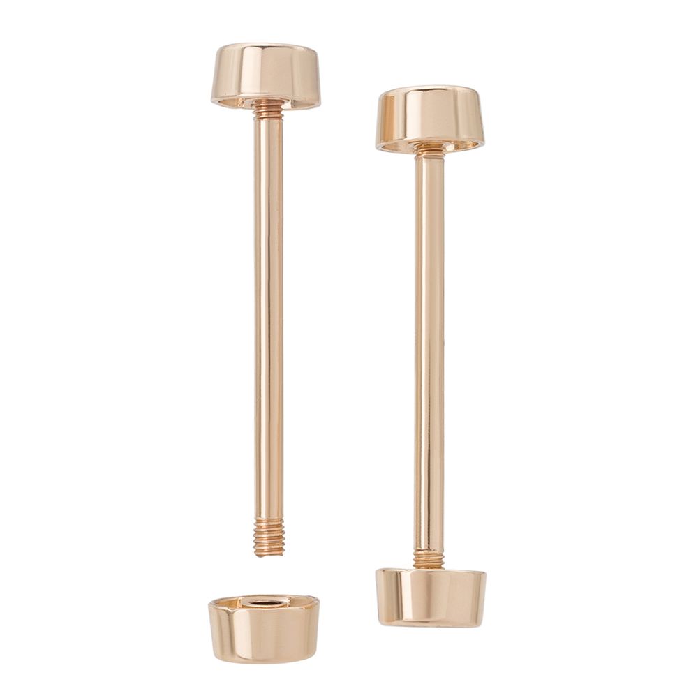 Шпилька для сумки 38/10 мм с таблеткой ⌀10 мм, металл, светлое золото, 10 шт