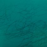 Папка на резинке A4 600 мкм 35 мм, волокно, 5 шт, зеленый new EC21043003, Expert Complete