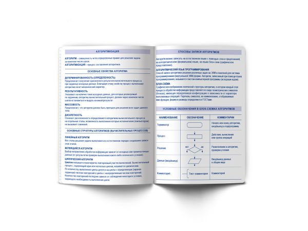 Тетрадь со справочным материалом ПреКрасная, матовая ламинация + выборочный лак, A5+ 48 л. на скобе 65 г/м², белизна 100%, 10 шт, клетка, 000556 Информатика, Светоч 48ТПСК5_24_2_1