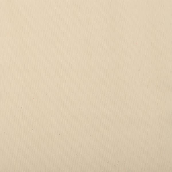 Бифлекс матовый 200 г/м², 150 см / 6 метров, TBY-B-2006.6, цв.2006 молочный