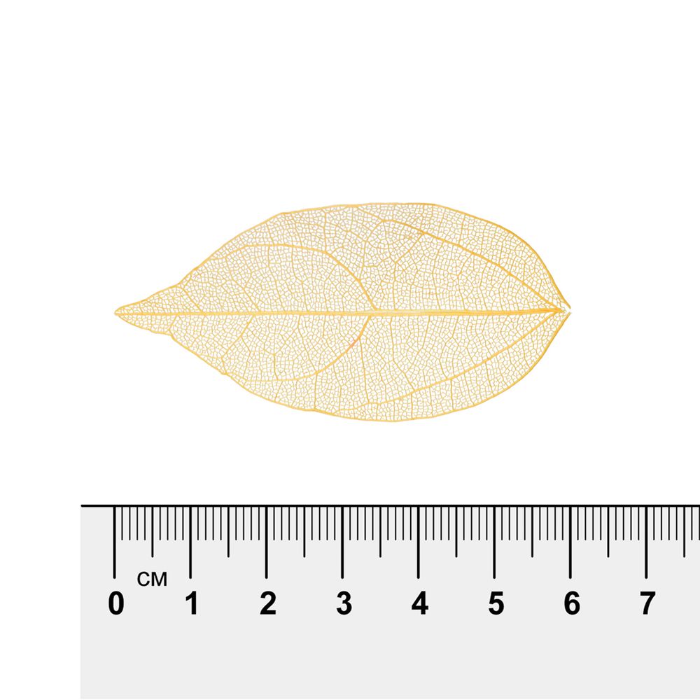 Листья скелетированные 2-6 см, 50 шт (5х10 шт), 06 оранжевый, Mr.Painter SFL-01