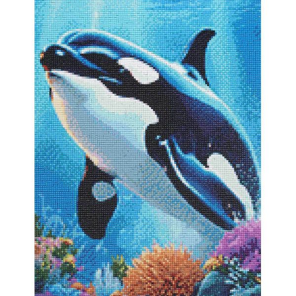 Алмазная (кристальная) мозаика Cristyle, Косатка, 30х40см