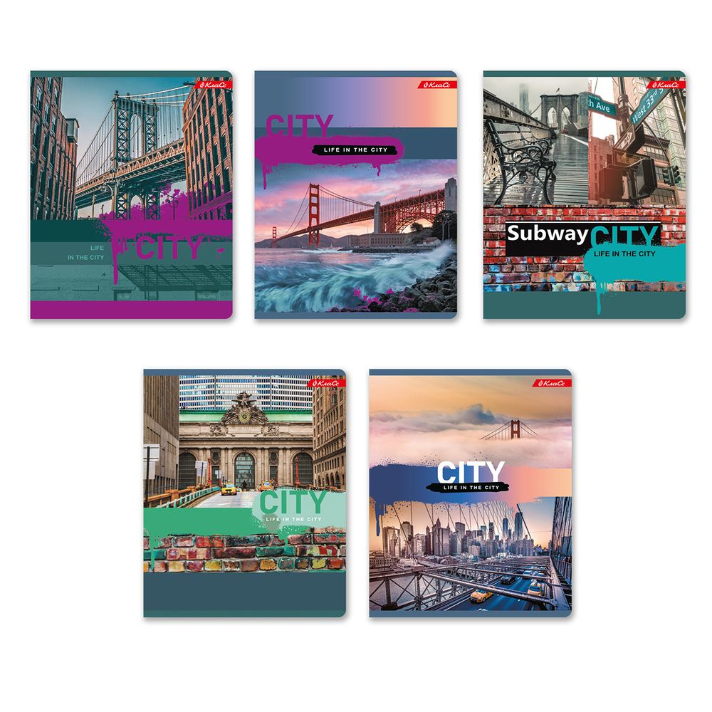 Тетрадь ученическая общая, A5+ 96 л. на скобе, белизна 100%, 5 шт, клетка, 000349 Мегаполис, Светоч 96ТСК5_1_3_1