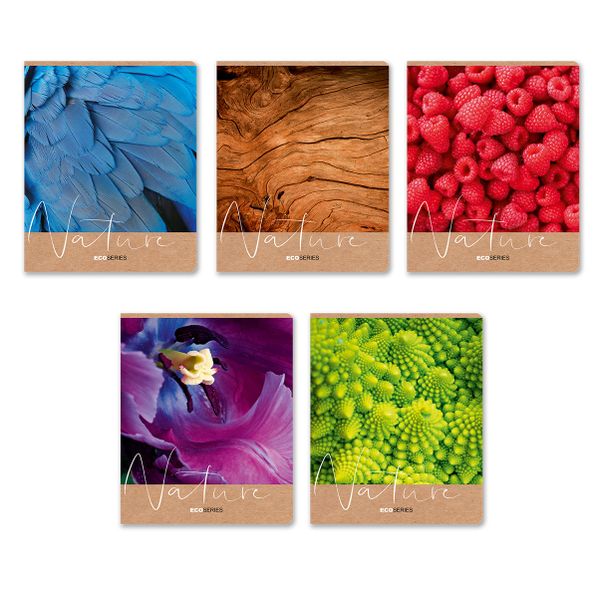 Тетрадь ученическая общая, выборочный лак, A5+ 96 л. на скобе 60 г/м², белизна 100%, 5 шт, клетка в термоусадочной пленке, 000766 Ах, лето!, Светоч 96ТЕТк-003