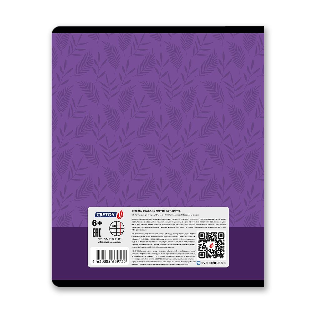 Тетрадь ученическая общая, тиснение золотой фольгой, A5 48 л. на скобе 65 г/м², белизна 100% 10 шт клетка, 01514 Золотые моменты, Светоч Т199