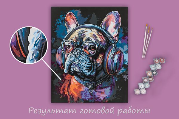 Картина по номерам Фрея PNB/PLB-290, Стильный бульдог, (эффект черного холста) 50х40 см