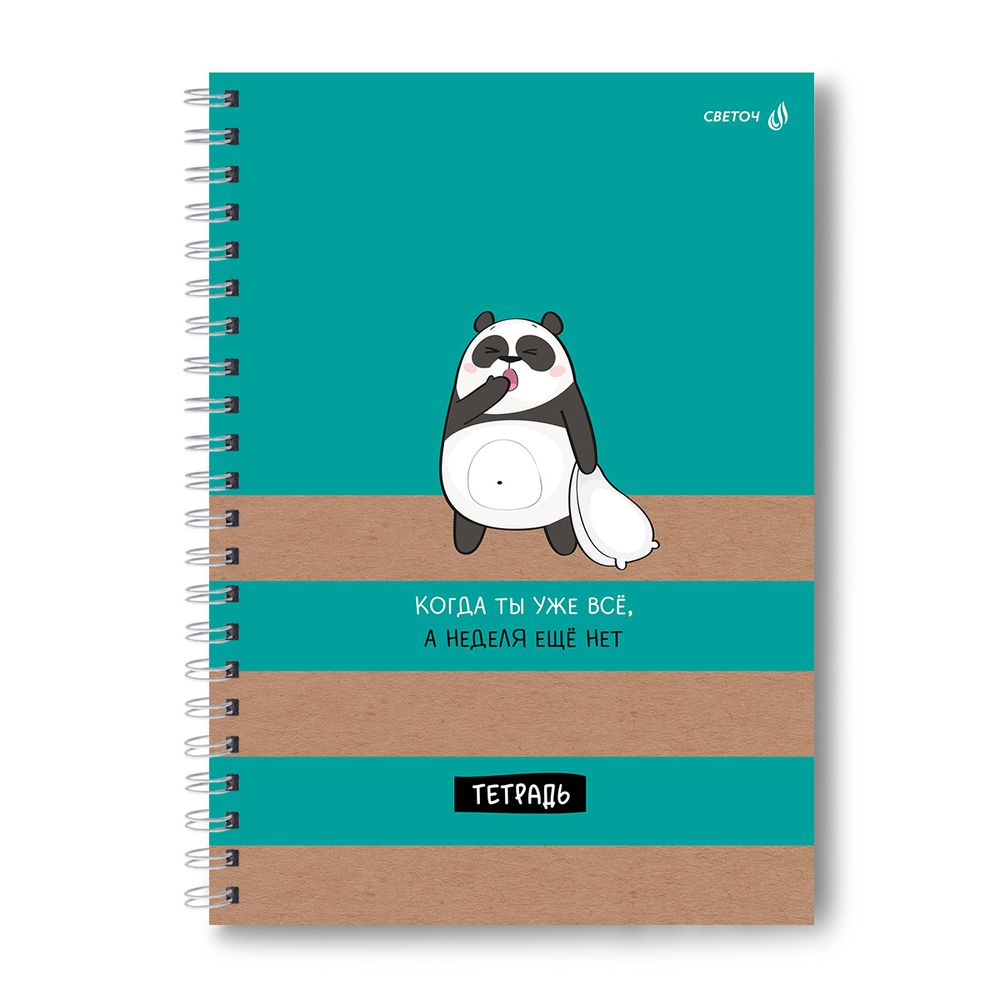 Тетрадь ученическая общая, выборочный УФ лак, A4 80 л. на гребне 65 г/м², белизна 100 %, 4 шт, клетка, 01241 В жесть утра, Светоч Т128