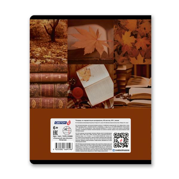 Тетрадь со справочным материалом Огромный мир внутри, A5 48 л. на скобе 60 г/м², белизна 90% 10 шт линия, 01809 Огромный мир внутри Литература, Светоч Т279