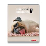 Тетрадь ученическая общая, A5+ 48 л. на скобе 65 г/м², белизна 100%, 10 шт, клетка в термоусадочной пленке, 000752 Смешные и шерстяные, Светоч 48ТЕТк-001