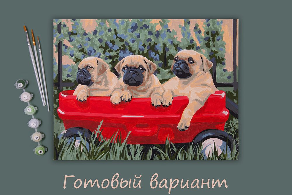 Картина по номерам Фрея, Мопсы, 30х40 см