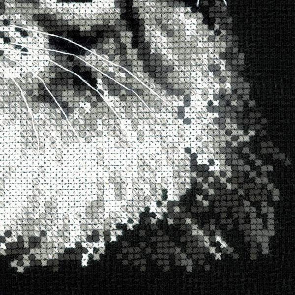 Набор для вышивания нитками Риолис, Мейн-кун 21х30 см набор