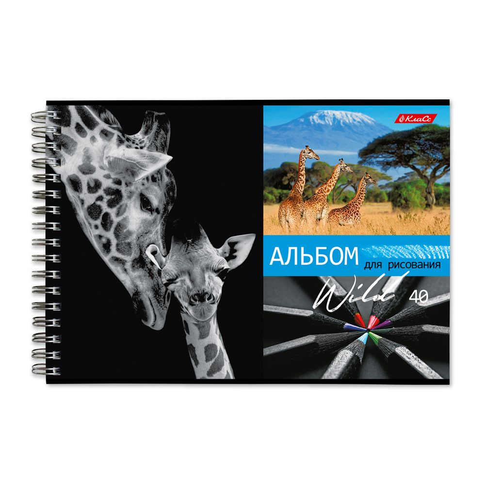 Альбом для рисования, 100 г/м², A4 29х20.5 см, на гребне 40 л., 6 шт, 40АЛГР4_000244 Саванна, Светоч