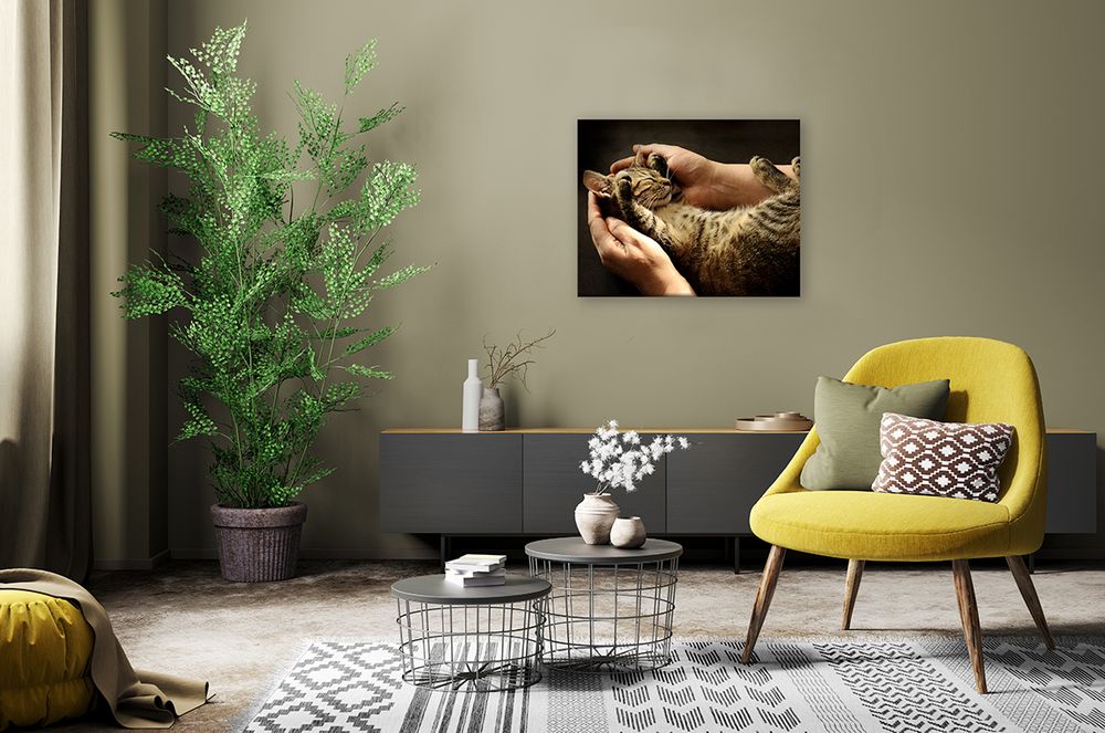 Картина по номерам Фрея PCF-38, Счастье на ладошках, холст с подрамником, 50х40 см