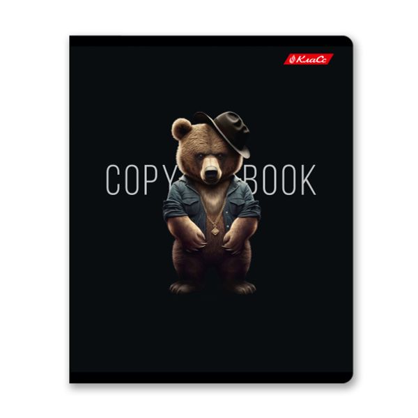 Тетрадь ученическая общая, софт-тач ламинация, A5+ 48 л. на скобе 65 г/м², белизна 100%, 10 шт, клетка в термоусадочной пленке, 000739 Мистер Х, Светоч 48ТЕТк-006