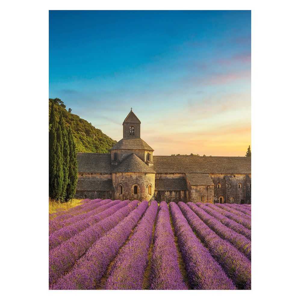 Пазл. Премиальная коллекция 500 элементов, TOP-PZL-500/11 Лаванда аббатства Сенанк, Фрея