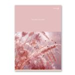 Тетрадь ученическая общая, A4 96 л. на скобе 65 г/м², белизна 100%, 6 шт, клетка, 000464 Бронзовый ковыль, Светоч 96ТСК4_0_2_1