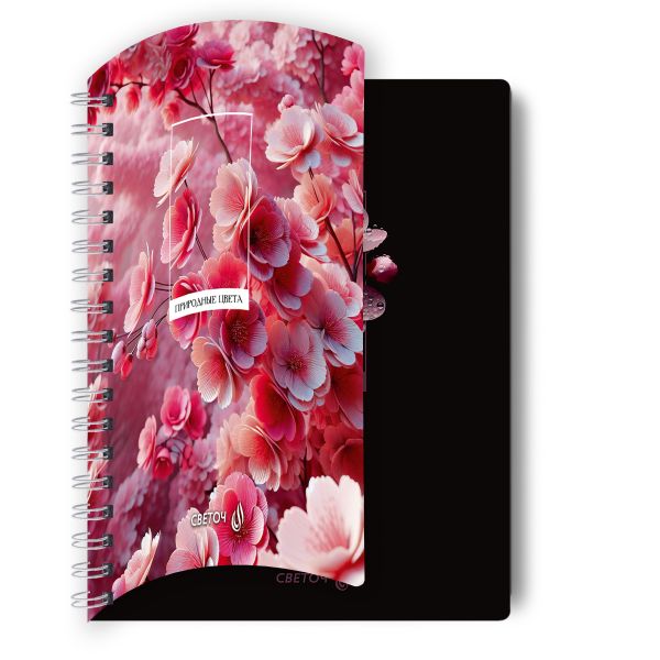 Тетрадь ученическая общая с двойной обложкой, A5 96 л. на гребне 65 г/м², белизна 100 %, 4 шт, клетка, 01209 Грани прекрасного, Светоч Т118