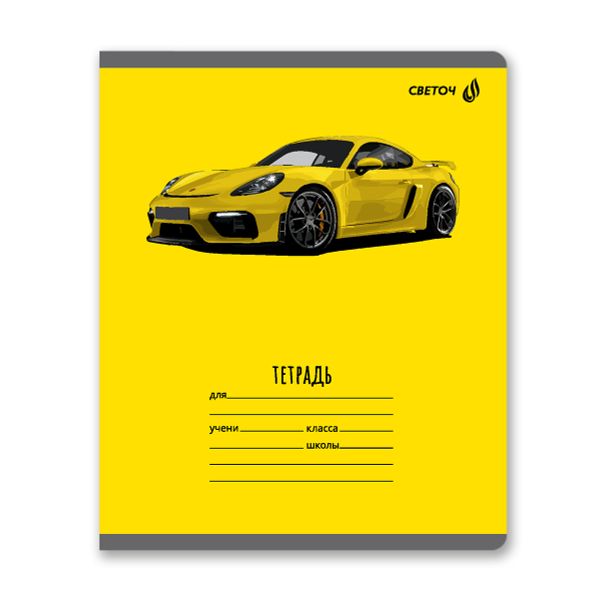 Тетрадь ученическая школьная, выборочный лак, A5 18 л. на скобе 65 г/м², белизна 100% 20 шт линия, 01454 Дрифт, Светоч Т185