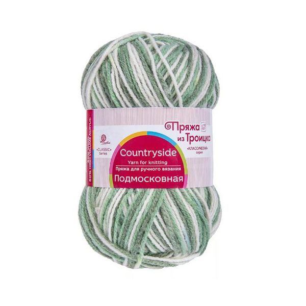 Пряжа Троицкая Подмосковная принт секционный / уп.10 мот. по 100 г, 250 м, 2603 секционный
