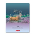 Тетрадь ученическая общая, A5+ 96 л. на скобе, белизна 100%, 5 шт, клетка, 000351 Дикая природа, Светоч 96ТСК5_1_3_1