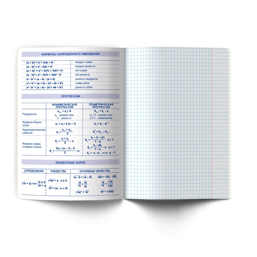 Тетрадь со справ.материал. Яркость по расписанию с запечат. пластик.обл. 320мкм, A5 48 л. на скобе 65 г/м², белизна 100% 10 шт, клетка, 01859 Яркость по расписанию Алгебра, Светоч Т288