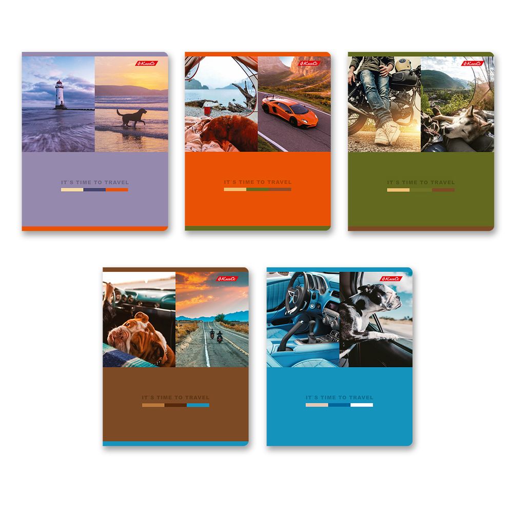 Тетрадь ученическая общая, A5+ 80 л. на скобе 65 г/м², белизна 100%, 5 шт, клетка в термоусадочной пленке, 000488 Собаки рулят, Светоч 80ТСК5_0_2_1