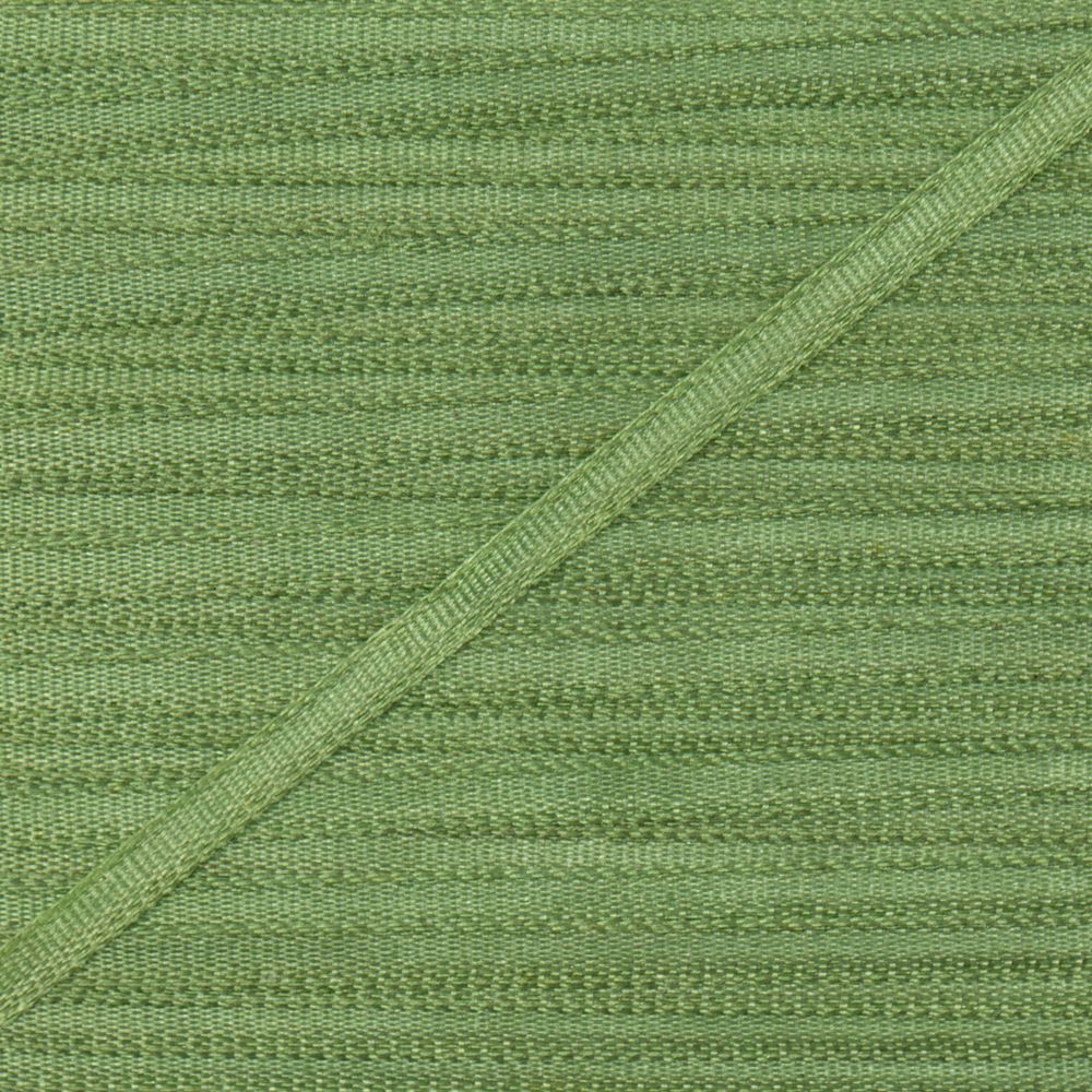 Лента (тесьма) шелковая 2.0 мм / 45.5±0.5 метров, №210 салатовый, Gamma SR-2