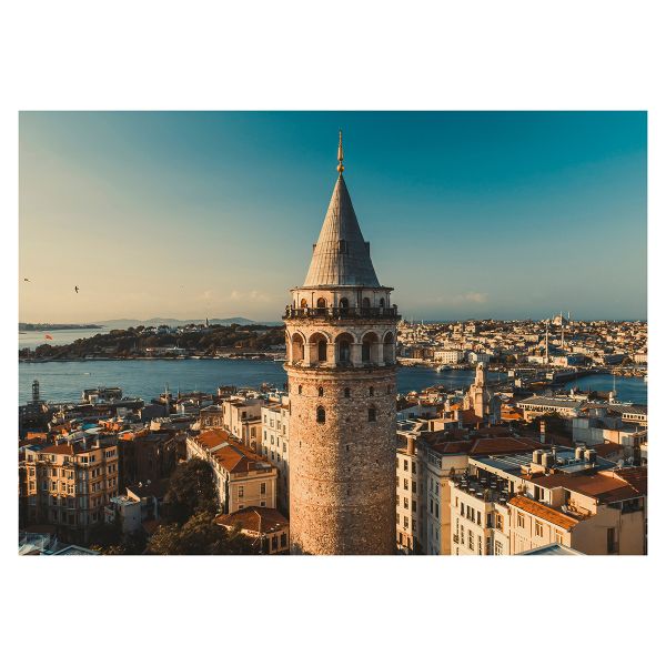 Пазл. Премиальная коллекция 1000 элементов, TOP-PZL-1000/12 Галатская башня, Фрея