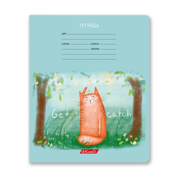 Тетрадь ученическая школьная, выборочный лак, A5+ 18 л. на скобе 65 г/м², белизна 100%, 20 шт, клетка, 000706 Жизнь кота Абрикоса, Светоч 18ТЕТк-003