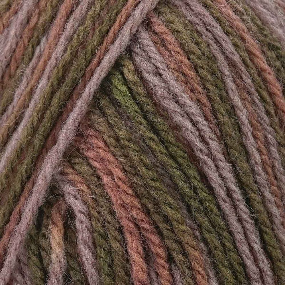 Пряжа Троицкая Подмосковная принт секционный / уп.10 мот. по 100 г, 250 м, 1573М, мох/сиренево-серый мел./кофе