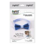 Набор для творчества, Бабочка Сапфир, Peppy ACS-0128