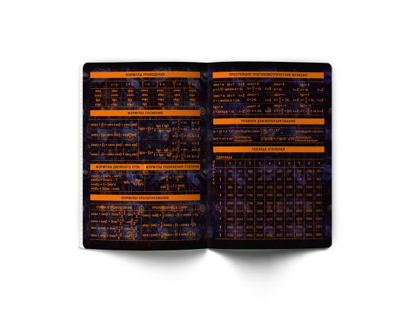 Тетрадь со справочным материалом Эволюция, глянцевая ламинация, A5+ 48 л. на скобе 65 г/м², белизна 100%, 10 шт, клетка, 00875 Алгебра, Светоч 48Т5