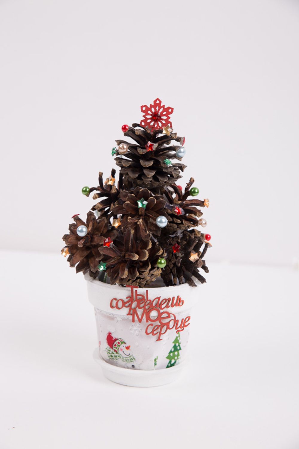 Шишки, 10 шт, 01 Сосна, Blumentag PIF-04