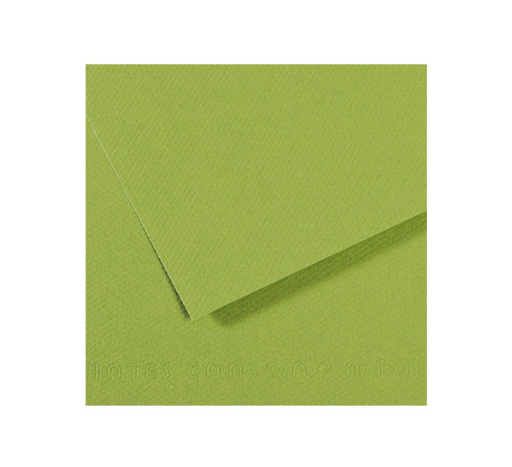 Бумага для пастели 160 г/м², 75х110 см, 25 листов, №475 зеленое яблоко, Canson Mi-Teintes C200321157