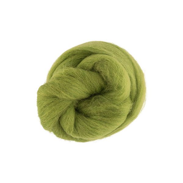 Шерсть для валяния (до 29 мкр), 50 г. 1551 аспарагус, Gamma TFS-050