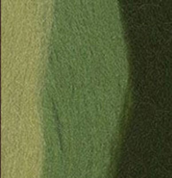 Шерсть для валяния (до 29 мкр), 50 г. 6111 з.яблоко/морские водоросли/липа, Gamma MY-050