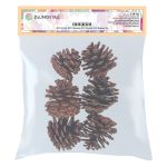 Шишки сосновые, 6 шт, 03 Сосна/ красный, Blumentag CIF-02, УЦЕНКА