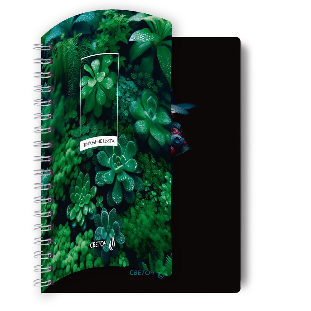 Тетрадь ученическая общая с двойной обложкой, A5 96 л. на гребне 65 г/м², белизна 100 %, 4 шт, клетка, 01209 Грани прекрасного, Светоч Т118