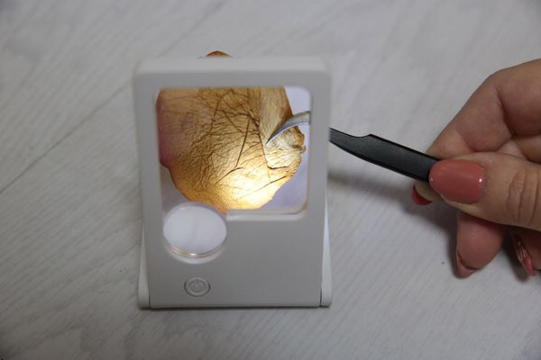 Лупа карманная с подсветкой FR-13, увеличение Х3, Х10, Ferstel