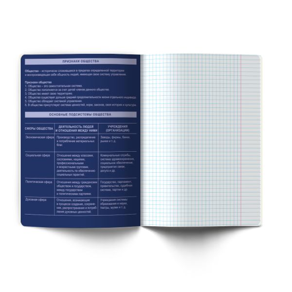 Тетрадь со справочным материалом Золотые главы, тисн.золот.фольгой, A5 48 л. на скобе 65 г/м², белизна 100% 10 шт клетка, 01856 Золотые главы Обществознание, Светоч Т286