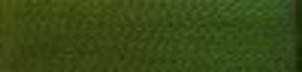 Нитки вышивальные Madeira Rayon №40, 1000 м, цв. 1170, 9841, 5 катушек