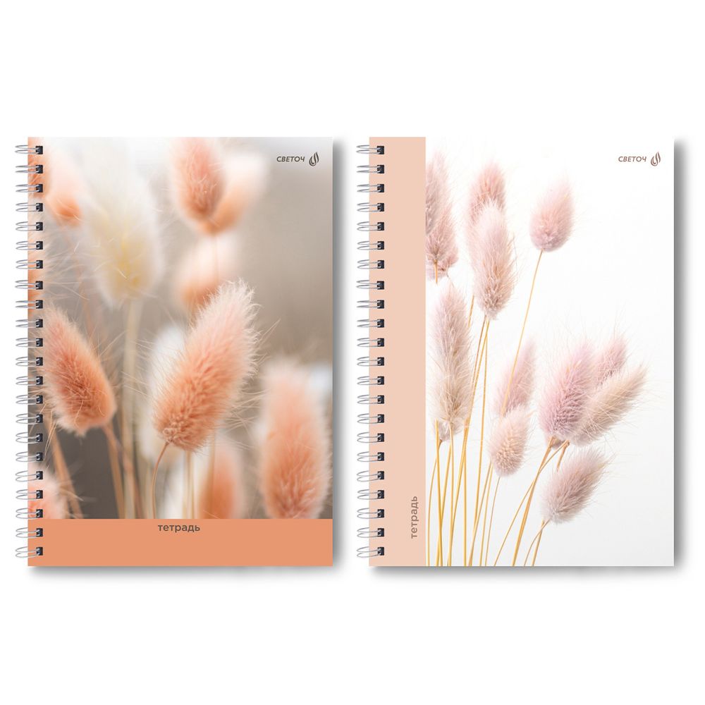Тетрадь ученическая общая, A4 80 л. на гребне 65 г/м², белизна 100 %, 4 шт, клетка, 01228 Душистый колосок, Светоч Т125