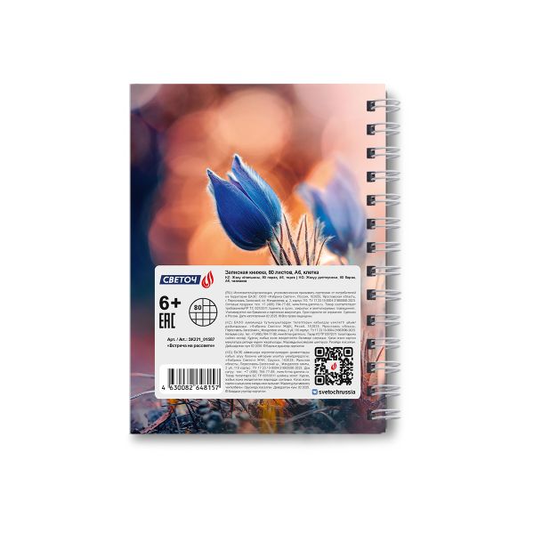 Записная книжка с твердым переплетом, глянцевая ламинация, на гребне A6 80 л. 4 шт клетка, Встреча на рассвете 01587, ЗК221 Светоч