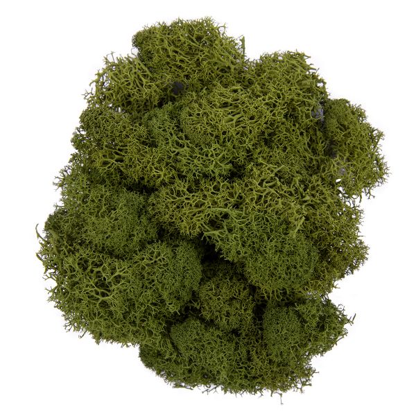 Мох стабилизированный окрашенный 50 г, 04 хаки, Blumentag, BMSR-50